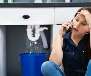 About Plumbers Pros Minnesota Lake, MN